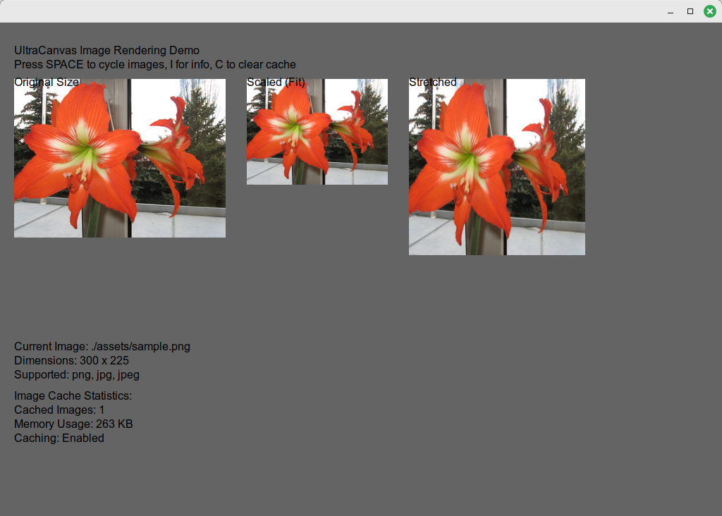 First working program with UltraCanvas